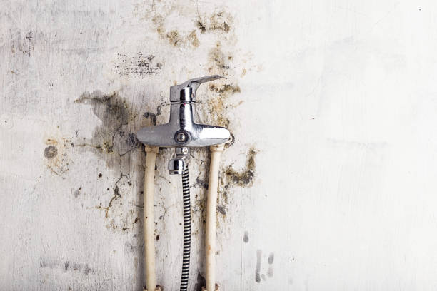 Best Water Damage Restoration  in Jamul, CA
