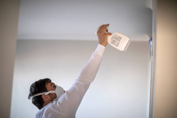 Best Home Mold Removal  in Jamul, CA