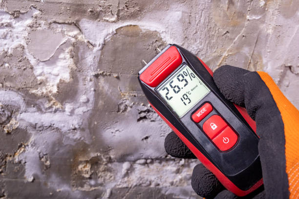 Best Mold Testing  in Jamul, CA