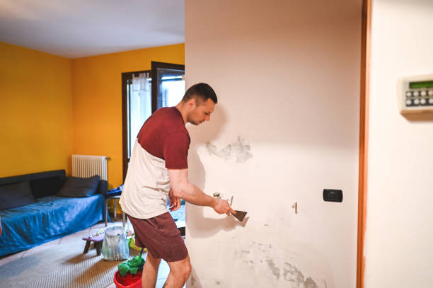 Best Best Mold Removal Companies  in Jamul, CA